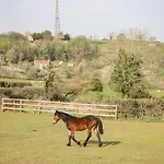 Annex Chetnole Holiday home Bristol