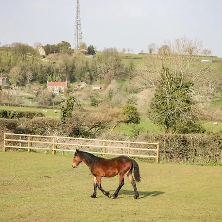 Annex Chetnole Σπίτι διακοπών Μπρίστολ