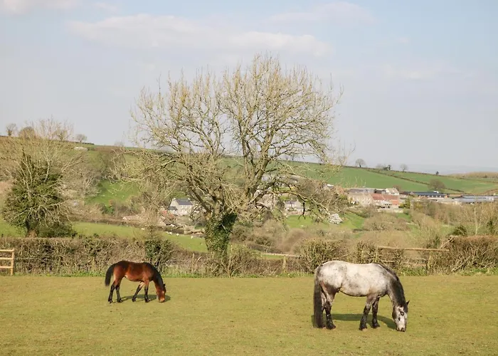 Annex Chetnole Casa de Férias