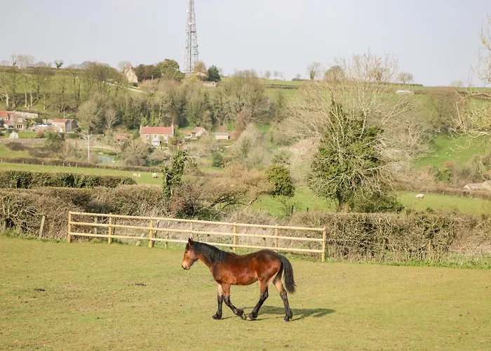 Annex Chetnole Casa de Férias Bristol